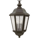 Hinkley Edgewater Alternative Image 10" Outdoor Medium Hanging Lantern Alternative Image 6