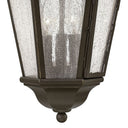Hinkley Edgewater Alternative Image 10" Outdoor Medium Hanging Lantern Alternative Image 7