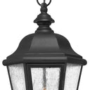 Hinkley Edgewater LED Alternative Image 10" Outdoor Medium Hanging Lantern Alternative Image 2