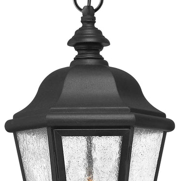 Hinkley Edgewater LED Alternative Image 10" Outdoor Medium Hanging Lantern Alternative Image 2