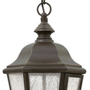 Hinkley Edgewater LED Alternative Image 10" Outdoor Medium Hanging Lantern Alternative Image 6