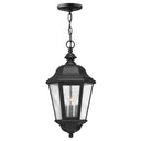 Hinkley Edgewater LED 10" Outdoor Medium Hanging Lantern 