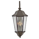 Hinkley Edgewater Outdoor Extra Large Wall Mount Lantern Alternative Image 9