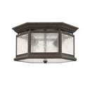 Hinkley Edgewater Outdoor Small Flush Mount Alternative Image 1