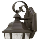 Hinkley Edgewater Outdoor Small Wall Mount Lantern Alternative Image 4