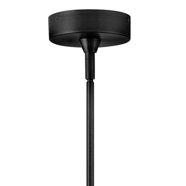 Hinkley Elin Medium Globe Pendant Alternative Image 5