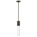 Hinkley Facet Extra Small Pendant 