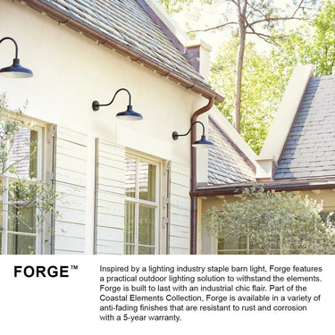 Hinkley Forge Alternative Image 17.5" High Outdoor Large Wall Mount Barn Light Alternative Image 13