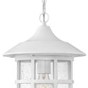 Hinkley Freeport Alternative Image 10" Outdoor Medium Hanging Lantern Alternative Image 6