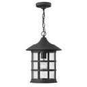 Hinkley Freeport 10" Outdoor Medium Hanging Lantern 