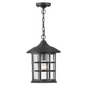 Hinkley Freeport Coastal Elements Alternative Image 10" Outdoor Medium Hanging Lantern Alternative Image 1