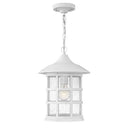 Hinkley Freeport Coastal Elements Alternative Image 10" Outdoor Medium Hanging Lantern Alternative Image 2