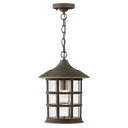 Hinkley Freeport Coastal Elements 10" Outdoor Medium Hanging Lantern 