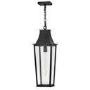Hinkley Georgetown Alternative Image 8.5" Outdoor Large Hanging Lantern Alternative Image 2