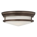 Hinkley Hadley Medium Flush Mount Alternative Image 2