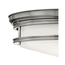 Hinkley Hadley Medium Flush Mount 