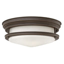 Hinkley Hadley Small Flush Mount Alternative Image 6