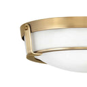 Hinkley Hathaway Medium Flush Mount Alternative Image 3