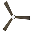 Hinkley Iver 56" LED Dual Mount Smart Fan Alternate Image-12