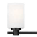 Hinkley Karlie Medium Three Light Vanity Wall Sconce - HL54623 Alternative Image 2