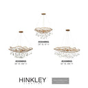 Hinkley Laguna Medium Eight Light Linear Pendant Alternative Image 2