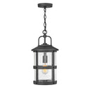Hinkley Lakehouse 9" Outdoor Medium Hanging Lantern 