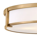 Hinkley Lowell Large Flush Mount Alternative Image 12