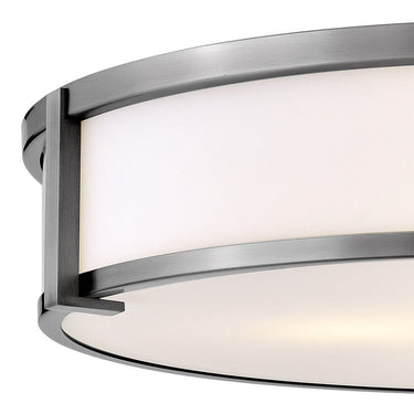 Hinkley Lowell Large Flush Mount Alternative Image 4