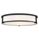 Hinkley Lowell Large Flush Mount Alternative Image 5