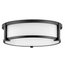 Hinkley Lowell Medium Flush Mount Alternative Image 5