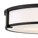 Hinkley Lowell Medium Flush Mount Alternative Image 7