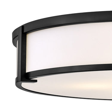 Hinkley Lowell Medium Flush Mount Alternative Image 7