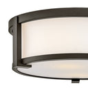 Hinkley Lowell Outdoor Small Flush Mount - HL28963 Alternative Image 8
