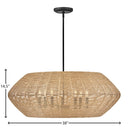 Hinkley Luca Large Convertible Drum Chandelier Alternative Image 5