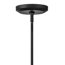 Hinkley Luca Large Convertible Pendant Alternative Image 5