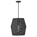 Hinkley Luca Large Convertible Pendant 