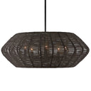 Hinkley Luca Medium Convertible Drum Chandelier Alternative Image 1