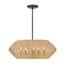 Hinkley Luca Medium Convertible Drum Chandelier Alternative Image 4