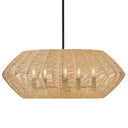 Hinkley Luca Medium Convertible Drum Chandelier Alternative Image 7