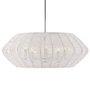 Hinkley Luca Medium Convertible Drum Chandelier Alternative Image 9