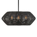 Hinkley Luca Small Convertible Drum Chandelier Alternative Image 2