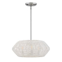 Hinkley Luca Small Convertible Drum Chandelier Alternative Image 9