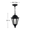 Hinkley Manor House Alternative Image 8.75" Outdoor Medium Hanging Lantern Alternative Image 1
