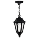 Hinkley Manor House 8.75" Outdoor Medium Hanging Lantern 