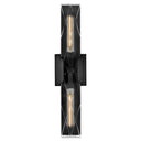 Hinkley Monte Large Two Light Sconce Alternative Image 5
