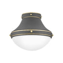 Hinkley Oliver Medium Flush Mount Alternative Image 4