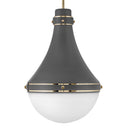 Hinkley Oliver Medium Pendant Alternative Image 7