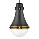 Hinkley Oliver Small Pendant Alternative Image 6