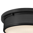 Hinkley Pierce Medium Flush Mount Alternative Image 2