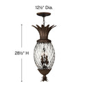 Hinkley Plantation Alternative Image 12.5" Outdoor Large Hanging Lantern in Copper Bronze Finish Alternative Image 1
